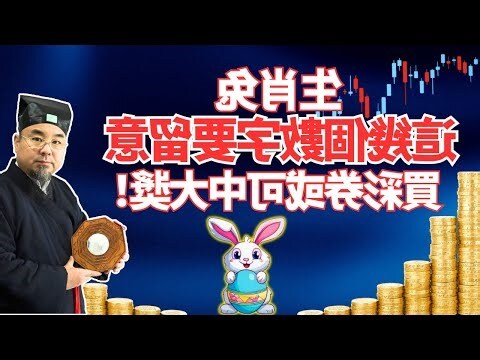 兔年 五行